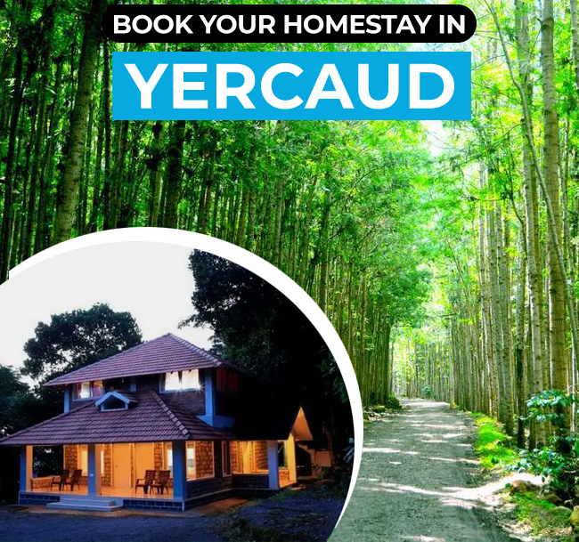 Book a stay at one of our Homestays nestled in the mountains of Yercaud