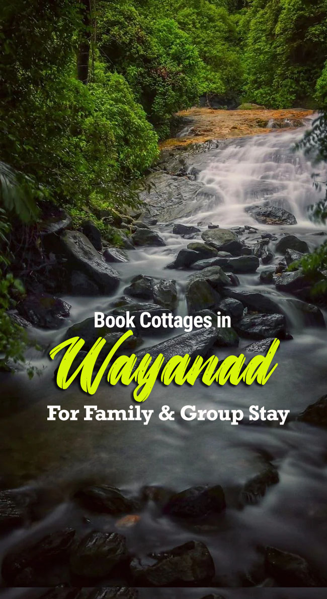 cottages in wayanad for group stay